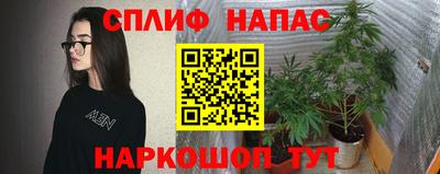 apvp Балахна