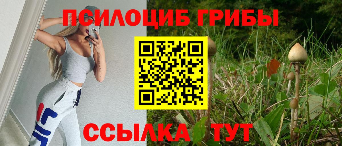 Псилоцибиновые грибы Magic Shrooms  Вход с VPN  Бор  Псилоцибиновые грибы MAGIC MUSHROOMS 