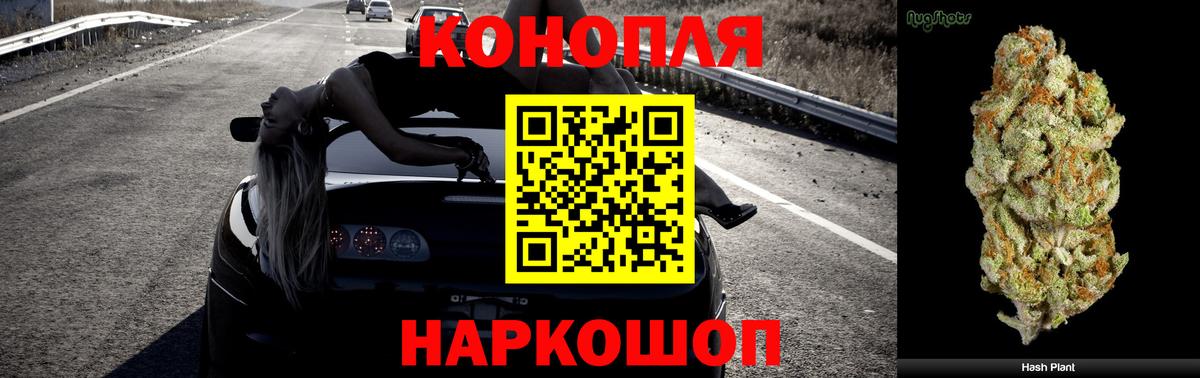 МАРИХУАНА тримм  Марихуана конопля  Вход с VPN  Бор  Конопля OG Kush 