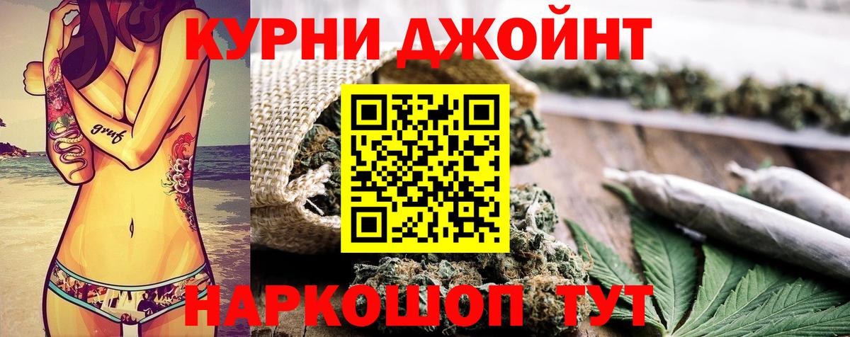Бошки Шишки планчик Бор